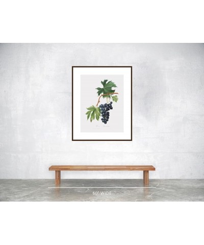 Uva Brachetto - Grape Walnut frame 24x32 $32.38 Designer