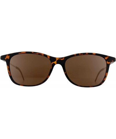 Connect Case + Wayfarer Sunglasses Tortoise/Brown $35.68 Aviator