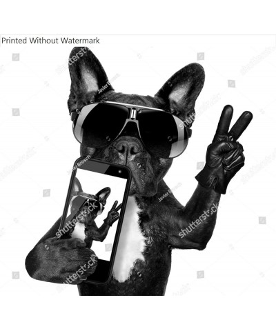 Wall Art Poster Print of French Bulldog Taking a Selfie with Cool Fancy Sunglasses 9" x 12 $10.36 Rectangular