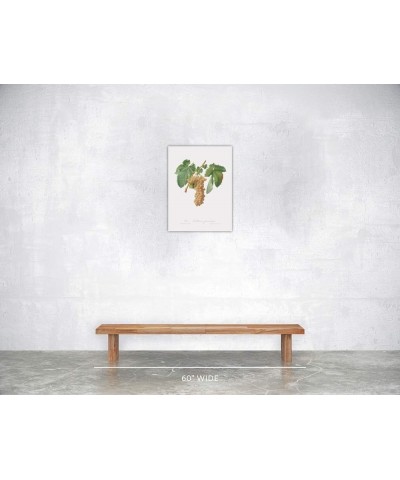 Uva Trebbiana Fiorentino - Trebbiano Grapes Print Only(Matte) 18x24 $148.48 Rectangular