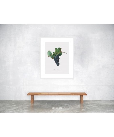 Uva Crovino - Grape White frame 24x32 $34.81 Designer