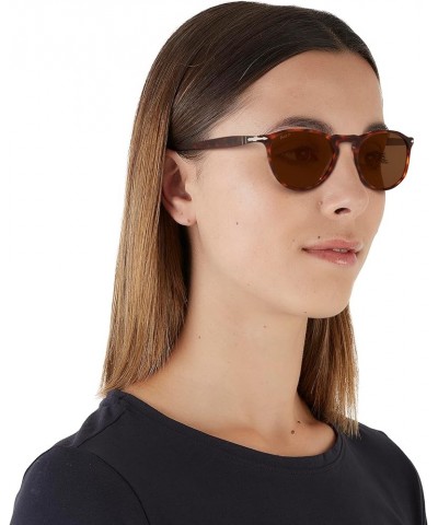 PO3286S Round Sunglasses Havana/Polarized Brown $162.97 Round