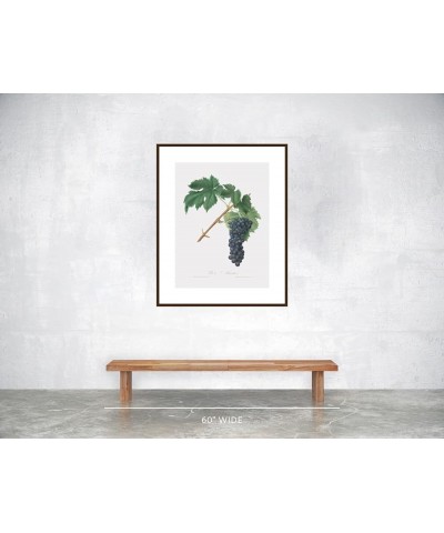 Uva Aleatico - Black Aleatico Grape Walnut frame 24x32 $48.58 Designer