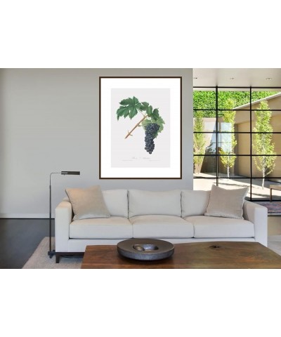 Uva Aleatico - Black Aleatico Grape Walnut frame 24x32 $48.58 Designer