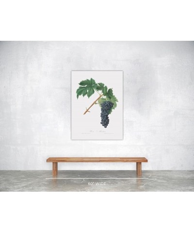 Uva Aleatico - Black Aleatico Grape Print Only(Matte) 30x40 $35.98 Designer