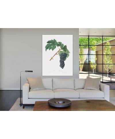 Uva Aleatico - Black Aleatico Grape Print Only(Matte) 30x40 $35.98 Designer