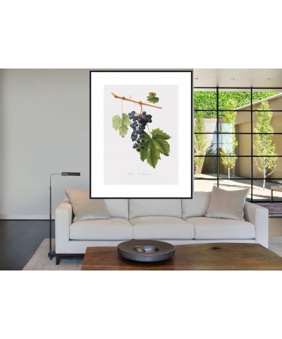 Uva Colorino - Grape Black frame 30x40 $125.38 Rectangular