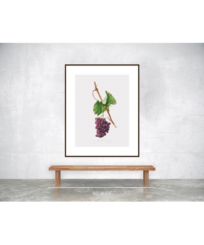 Uva Barbarossa - Grape Barberossa Walnut frame 30x40 $60.73 Rectangular