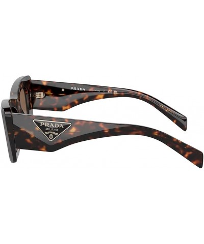 Men's Modern Cat Eye Sunglasses Tortoise $89.63 Cat Eye