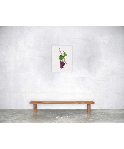 Uva Barbarossa - Grape Barberossa Print Only(Matte) 18x24 $44.98 Rectangular