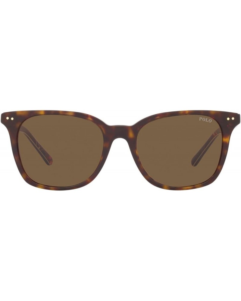 Men's Ph4187 Square Sunglasses Shiny Dark Havana/Bottle Green $35.34 Square