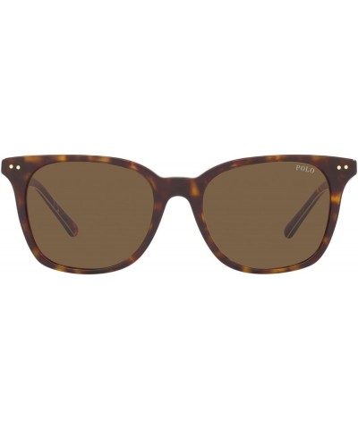 Men's Ph4187 Square Sunglasses Shiny Dark Havana/Bottle Green $35.34 Square