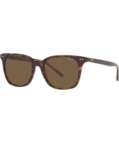 Men's Ph4187 Square Sunglasses Shiny Dark Havana/Bottle Green $35.34 Square