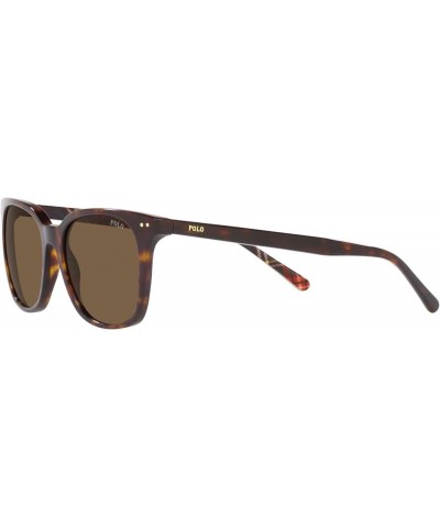 Men's Ph4187 Square Sunglasses Shiny Dark Havana/Bottle Green $35.34 Square