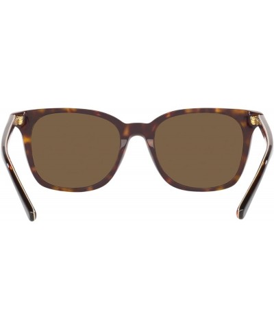 Men's Ph4187 Square Sunglasses Shiny Dark Havana/Bottle Green $35.34 Square