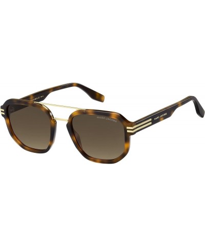 Women's Modern Sunglasses Havana $52.26 Square