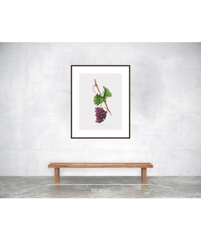 Uva Barbarossa - Grape Barberossa Walnut frame 24x32 $46.77 Rectangular