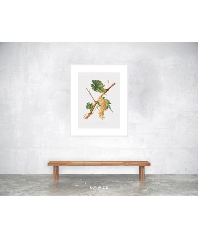 Uva Rossana di Nizza - Grape White frame 24x32 $39.58 Designer